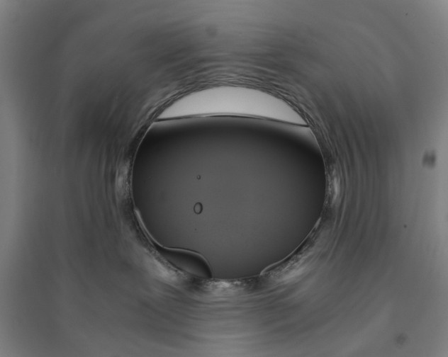 X0000094370239200711301456