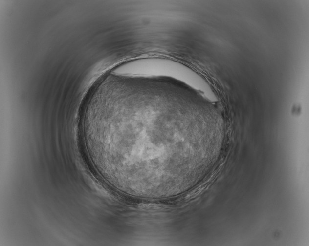 X0000094370242200711301455