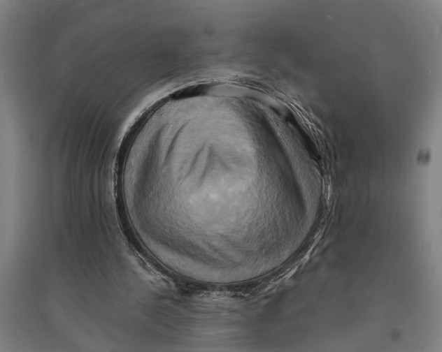 X0000094370244200711301455