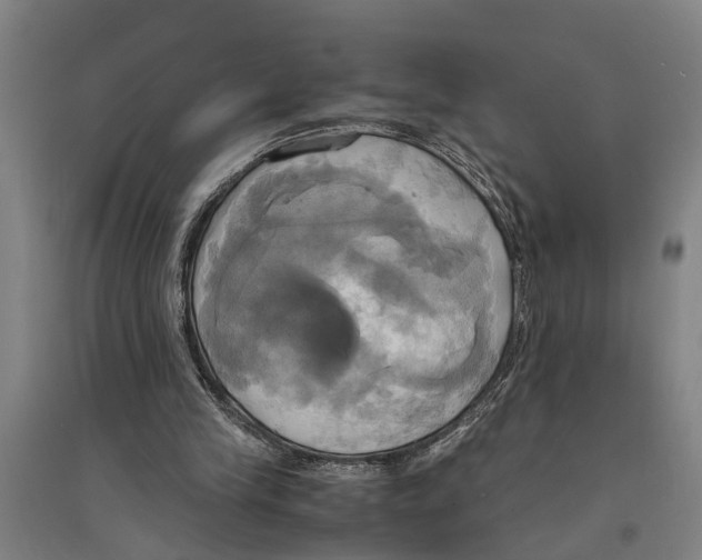 X0000094370245200711301455