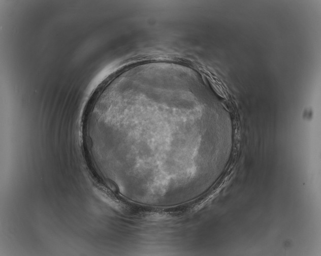 X0000094370246200711301455