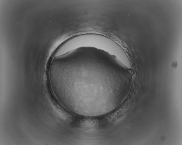 X0000094370248200711301455