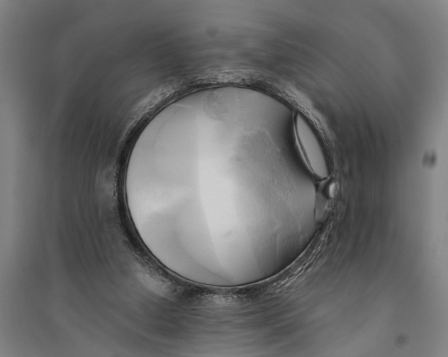 X0000094370250200711301455