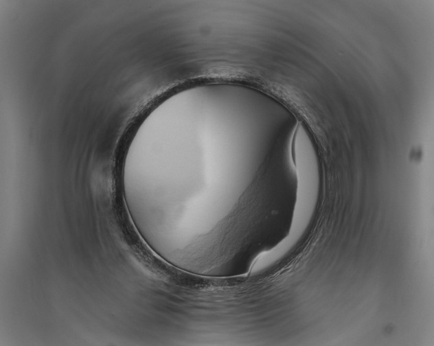 X0000094370252200711301455