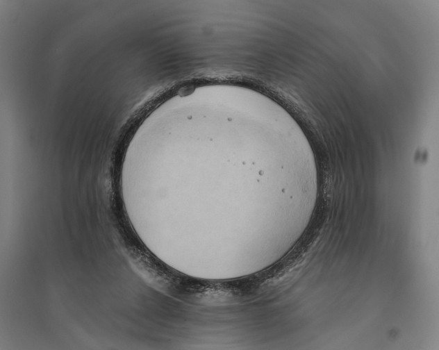 X0000094370256200711301455