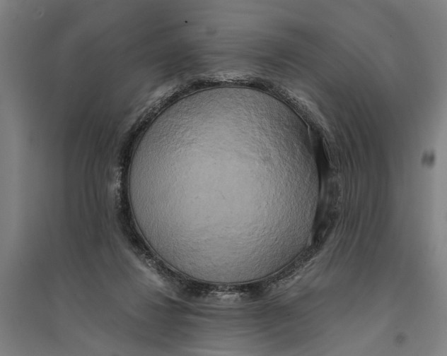 X0000094370260200711301455