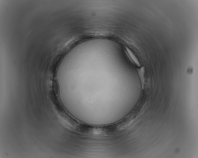 X0000094370264200711301455