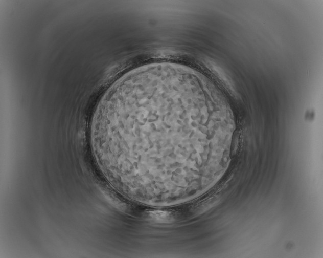 X0000094370265200711301455