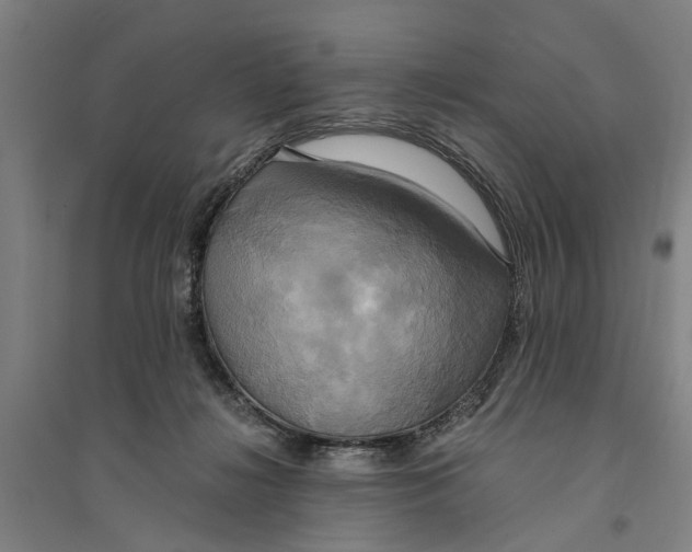 X0000094370268200711301456