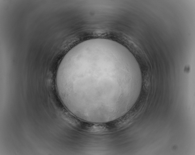 X0000094370270200711301456