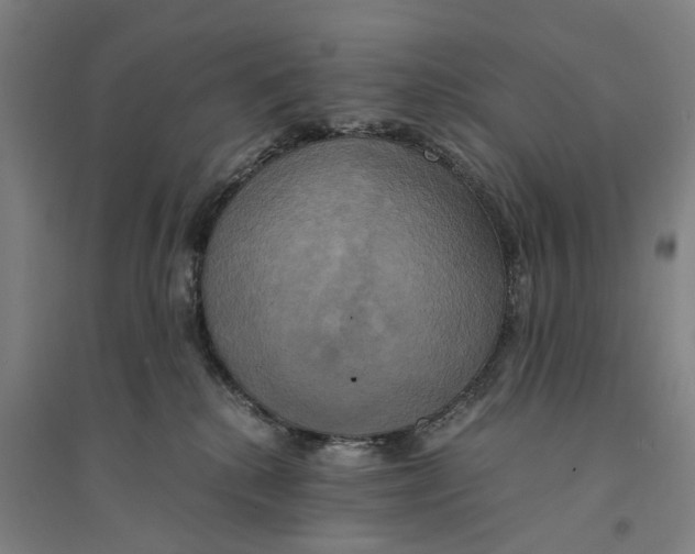 X0000094370280200711301456