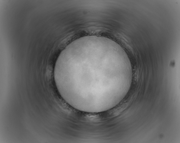 X0000094370283200711301456