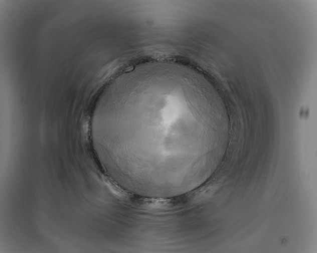 X0000094370288200711301456