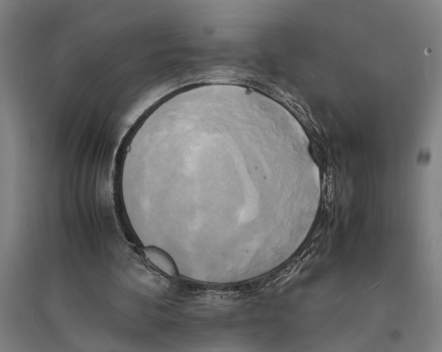 X0000094370292200711301455