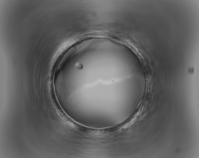 X0000094370293200711301455