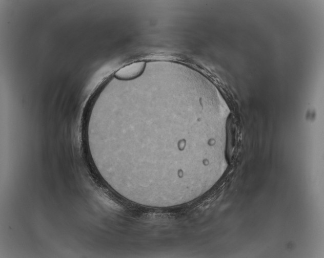 X0000094370296200711301455