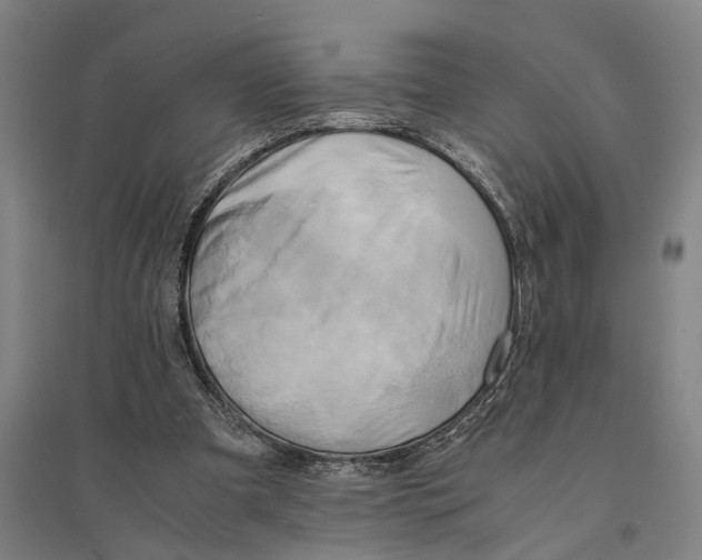 X0000094370297200711301455