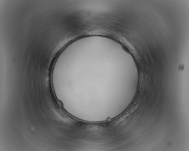 X0000094370298200711301455