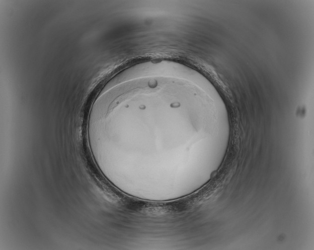 X0000094370299200711301455