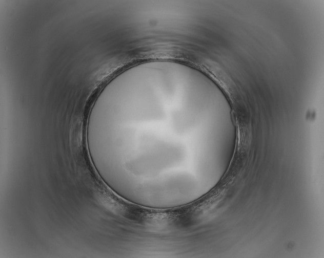 X0000094370301200711301455