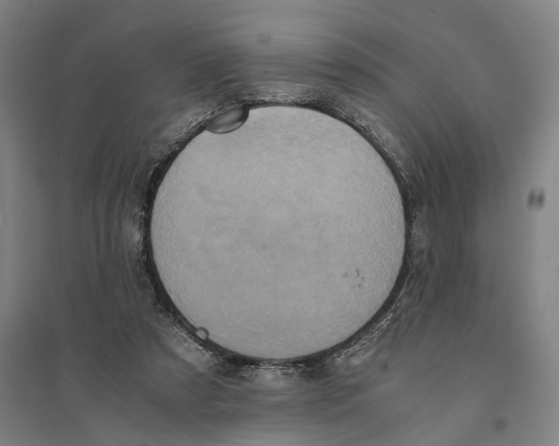 X0000094370305200711301455