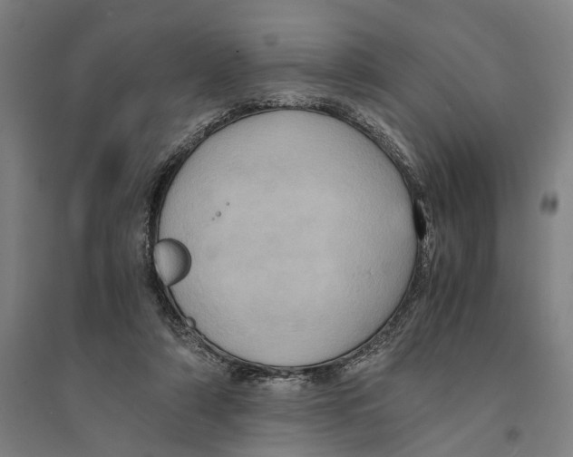 X0000094370306200711301455