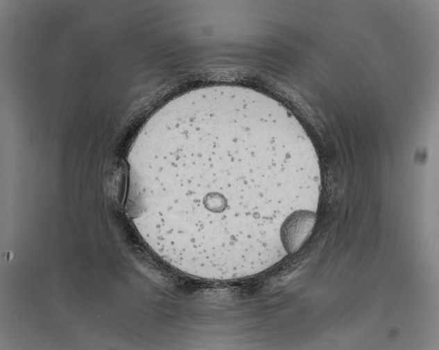 X0000094370307200711301455