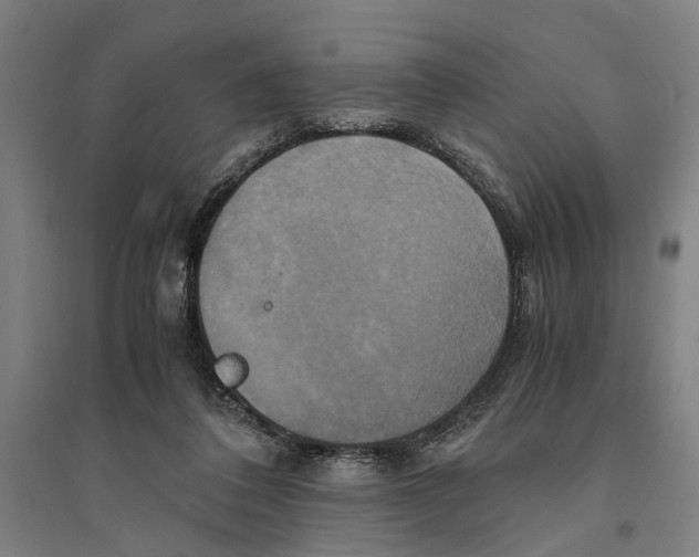 X0000094370308200711301455