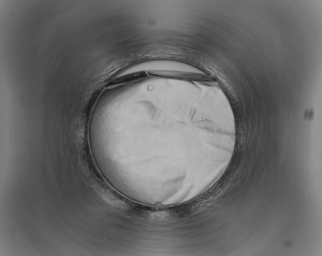 X0000094370309200711301455