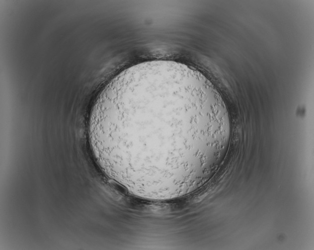 X0000094370317200711301455