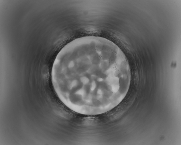 X0000094370320200711301455