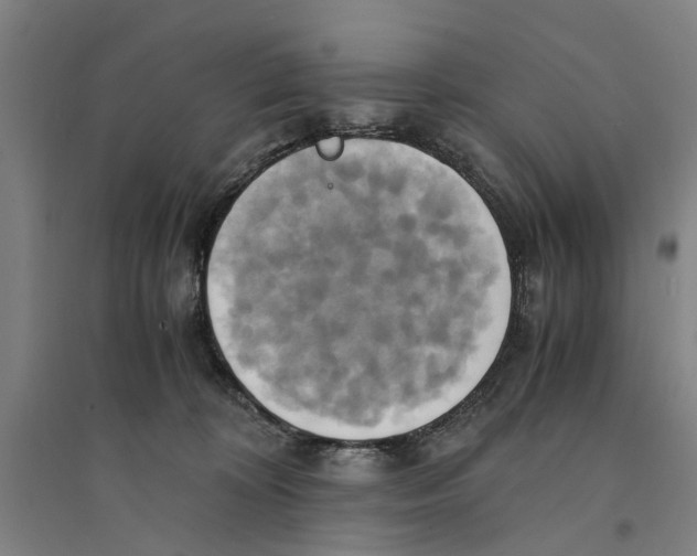 X0000094370324200711301454