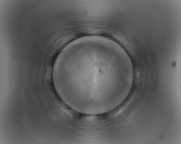 X0000094370325200711301454