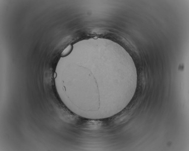 X0000094370328200711301454