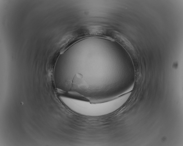 X0000094370329200711301454