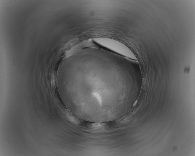 X0000094370335200711301454