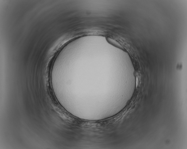 X0000094370339200711301453