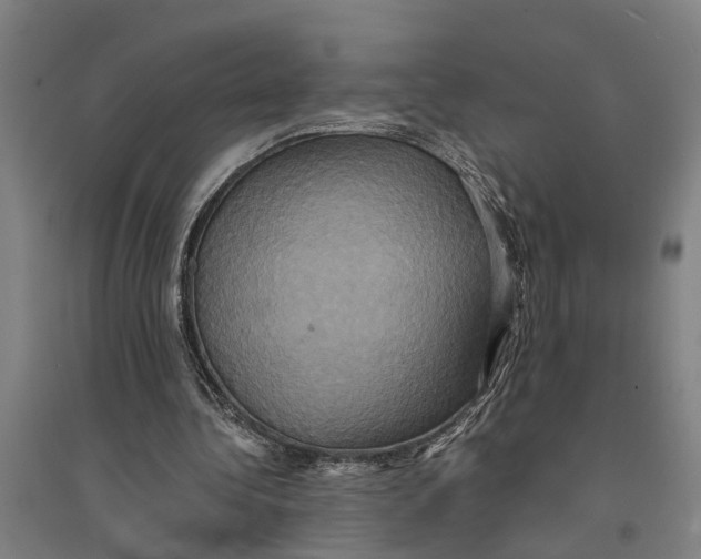 X0000094370340200711301454