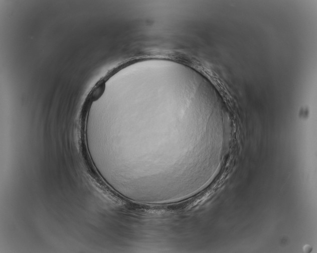 X0000094370342200711301454