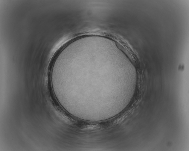 X0000094370344200711301454