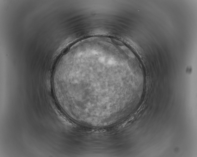 X0000094370345200711301454