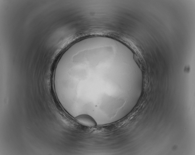 X0000094370346200711301454