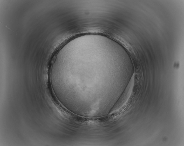 X0000094370350200711301454