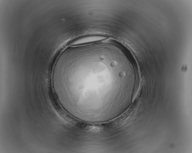 X0000094370352200711301454