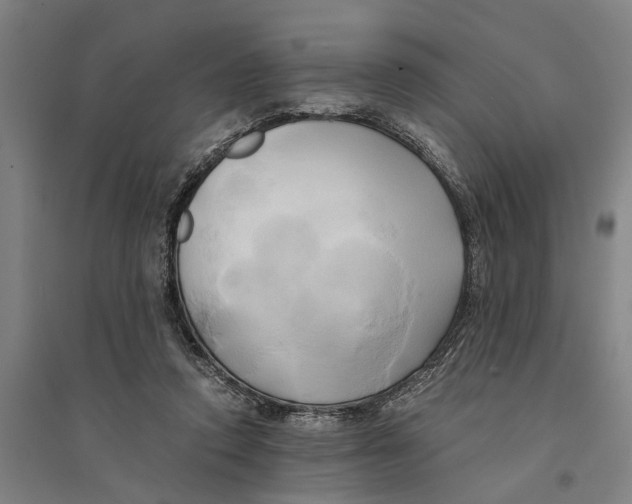 X0000094370354200711301454