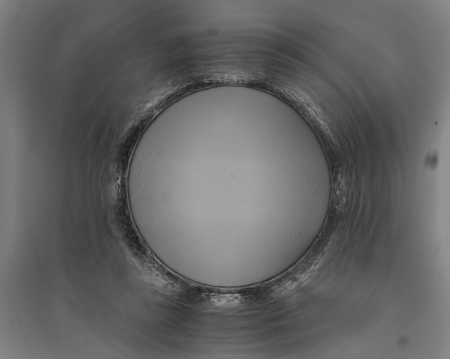 X0000094370355200711301454