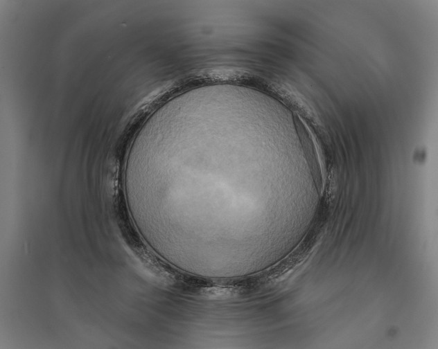 X0000094370356200711301454