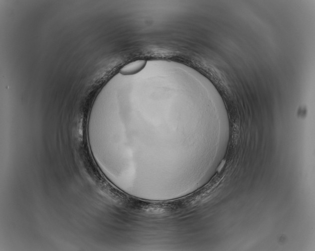 X0000094370358200711301454