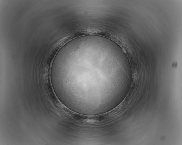 X0000094370360200711301454