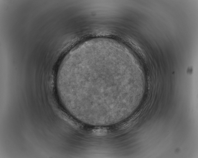 X0000094370362200711301454